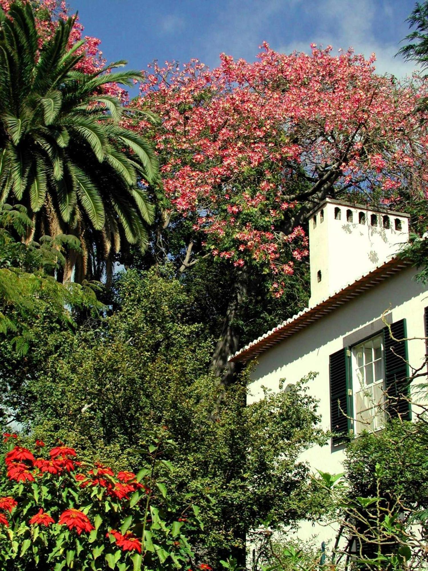 Quinta Da Bela Vista Hotell Funchal  Exteriör bild
